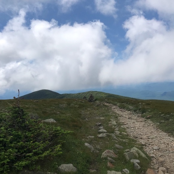 Meet your Posher, Lindsay - Picture 3 of 9